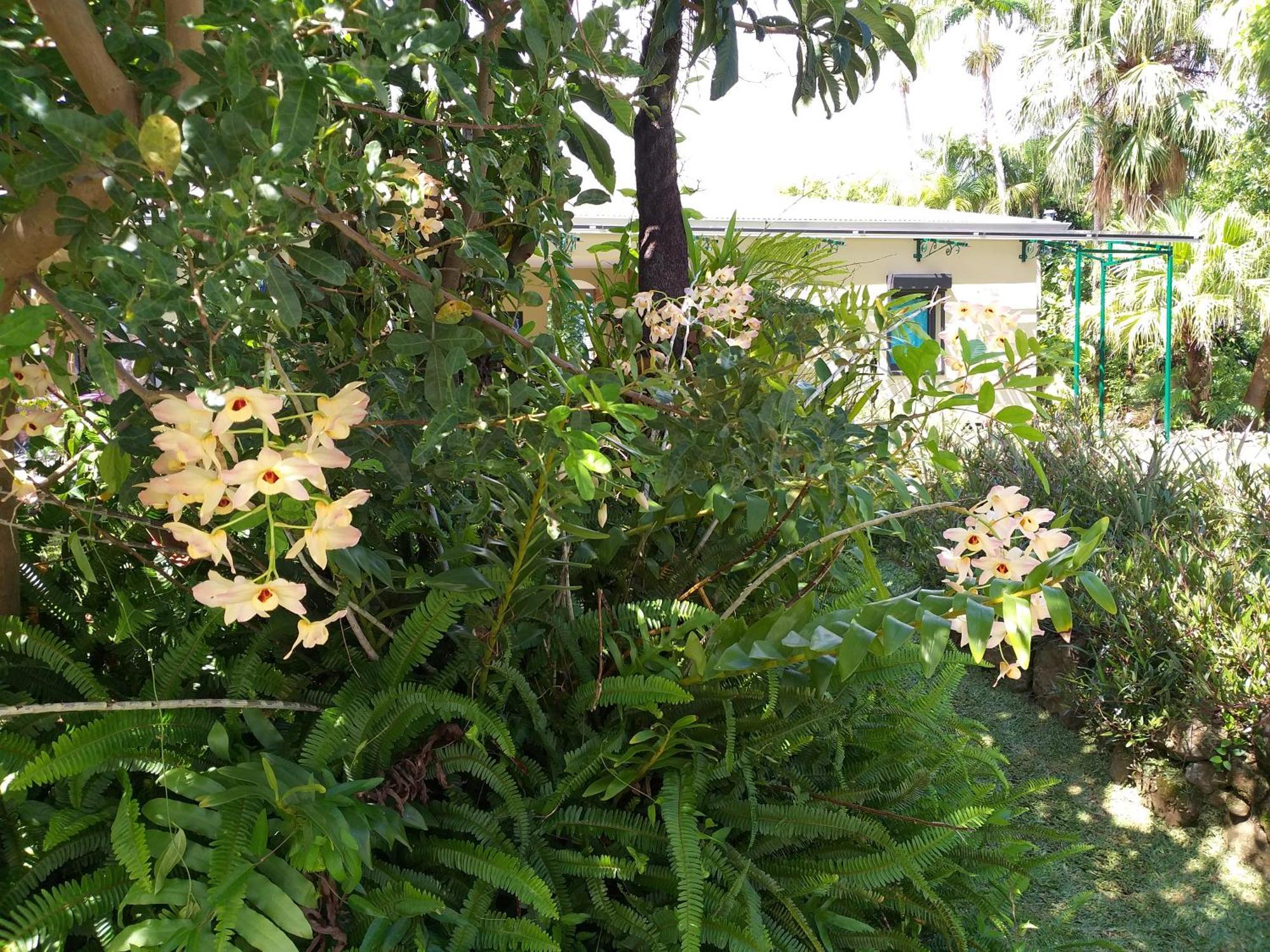 圣安德烈Poivre Et Citronnelle住宿加早餐旅馆 外观 照片